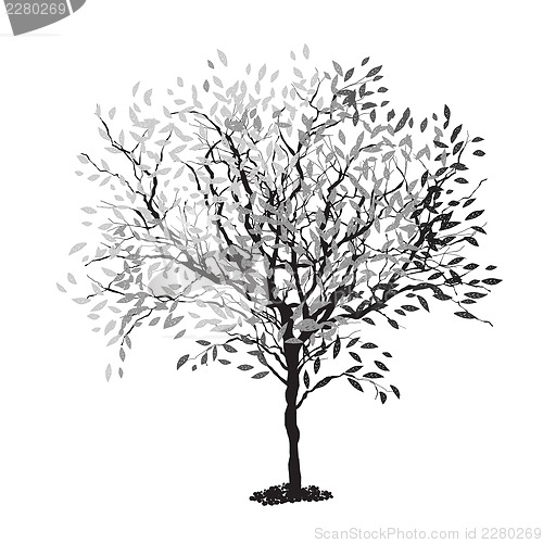 Image of Tree silhouette. The trunk and leaves in separate layers. Vector