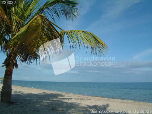 Image of beach