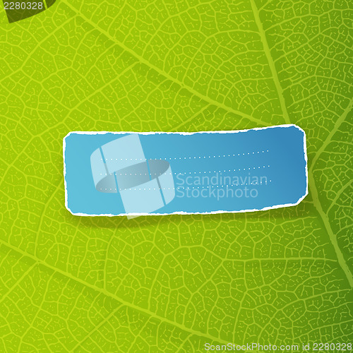 Image of Green leaf texture and torn label with space for text. EPS10
