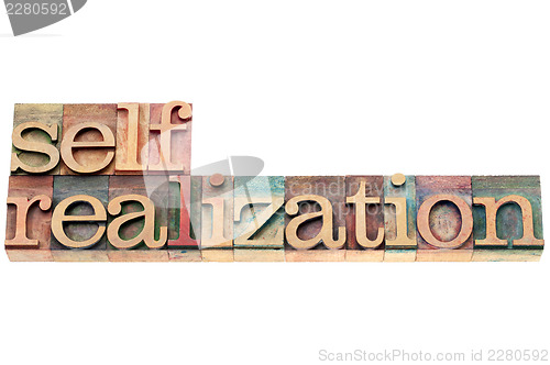 Image of self-realization word in wood type