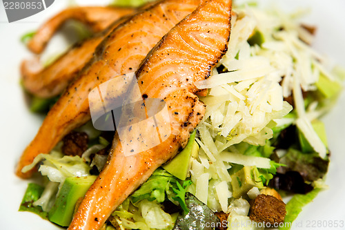 Image of Fresh salmon steak, closeup image