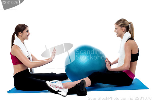 Image of Fit women practicing an exercise with pilates ball