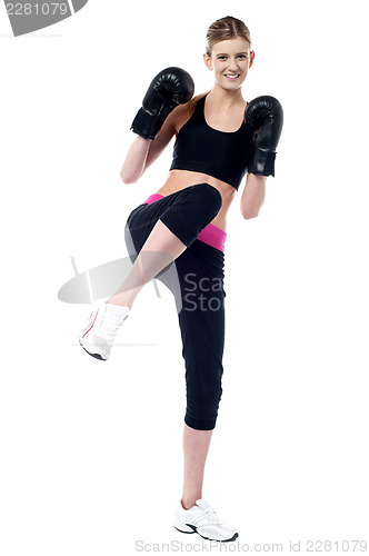 Image of Young beautiful active female boxer