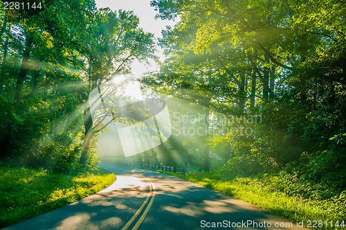 Image of sun rays through trees on road