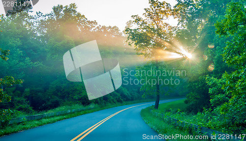 Image of sun rays through trees on road