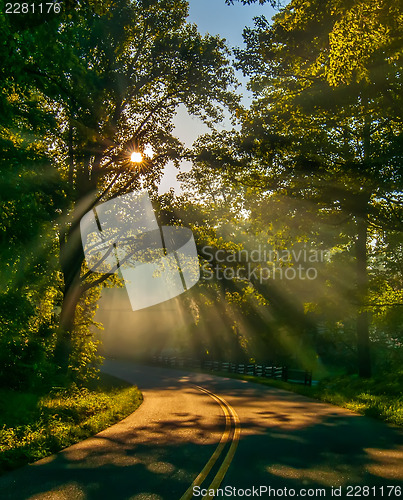 Image of sun rays through trees on road