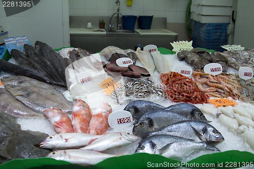 Image of Fresh seafood fish krivetki, mussels on ice.