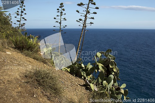 Image of Ispaniya.Kataloniya.Tossa de Mar.