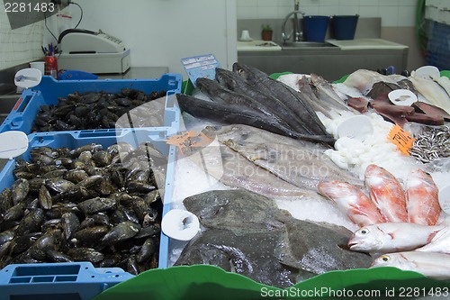 Image of Fresh seafood fish krivetki, mussels on ice.