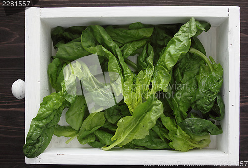 Image of Spinach in box