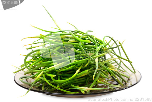 Image of Fresh garlic scapes on plate