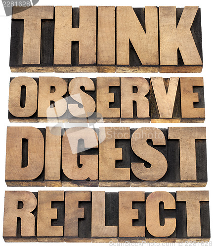 Image of think, observe, digest, reflect