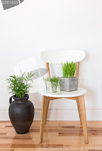 Image of White wooden chair with green plants