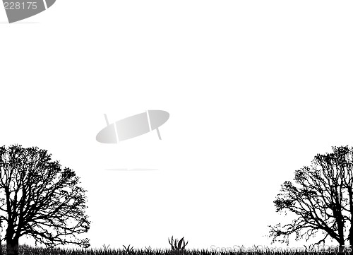 Image of extra trees