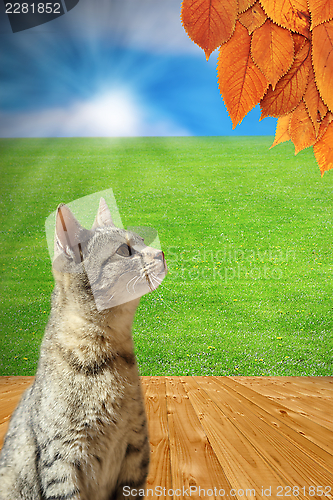 Image of autumn is coming