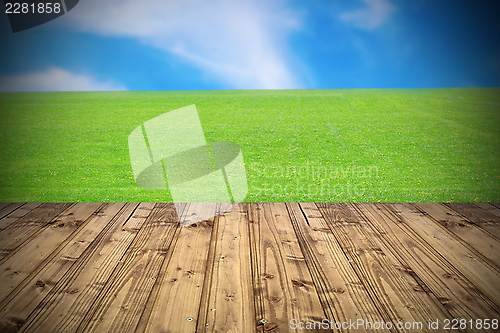 Image of bright beautiful meadow