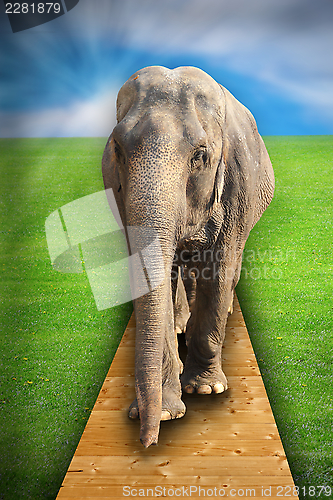 Image of concept with elephant