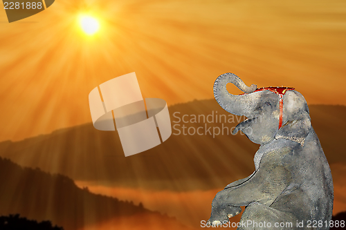 Image of happy elephant at sunset