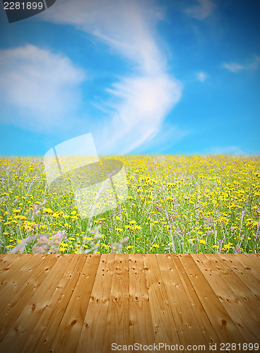 Image of wooden floor and green field