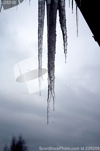 Image of Frozen wather