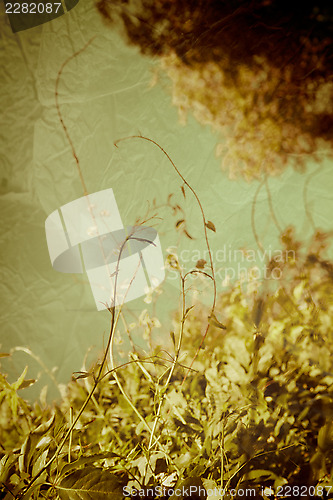 Image of vintage background 