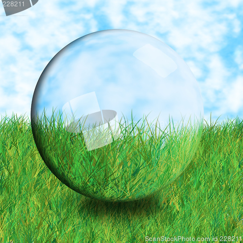 Image of glass ball grass