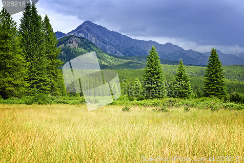 Image of Scenic view in Canadian Rockies