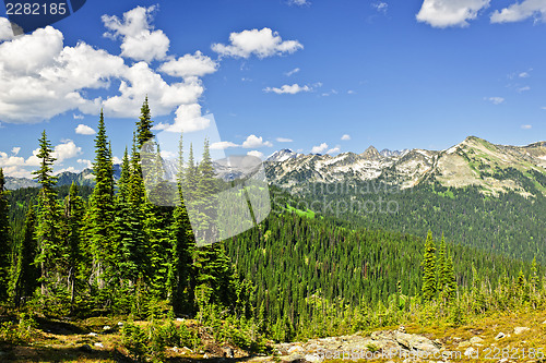 Image of Rocky mountain view from Mount Revelstoke