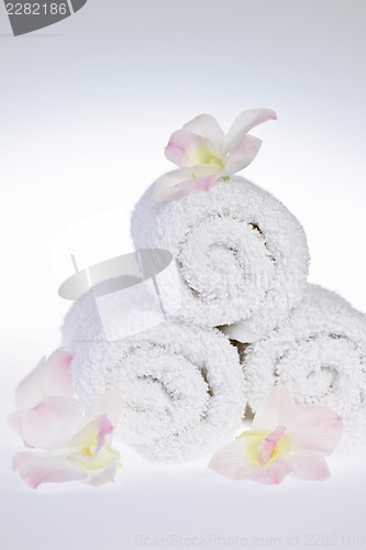 Image of White rolled up spa towels