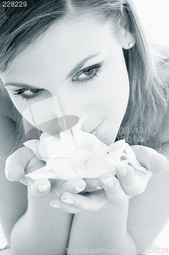 Image of monochrome rose petals #2