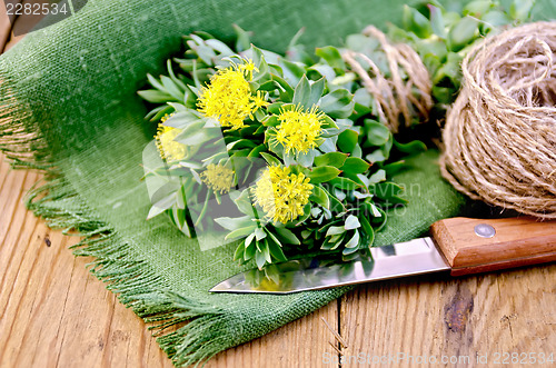 Image of Rhodiola rosea on the board