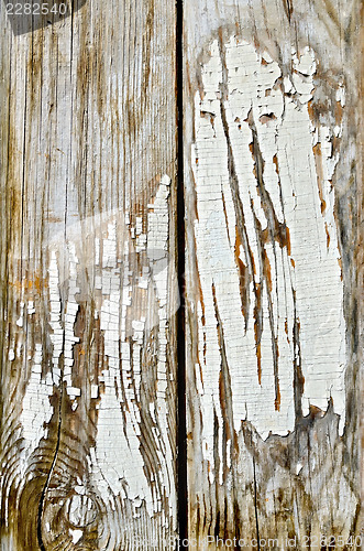 Image of Old board with peeling white paint