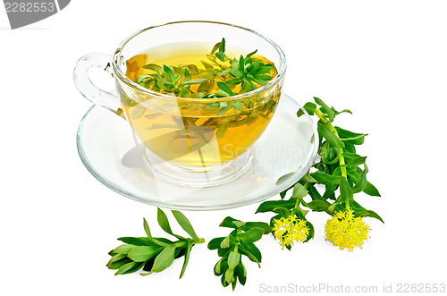 Image of Herbal tea with Rhodiola rosea in a glass cup