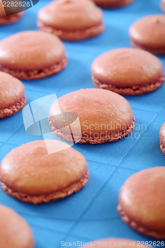 Image of Blanks for the macaroons close up.