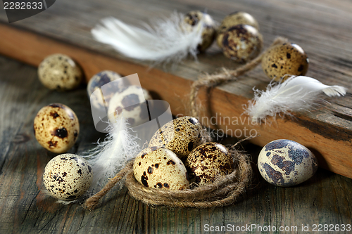 Image of Colorful quail eggs.