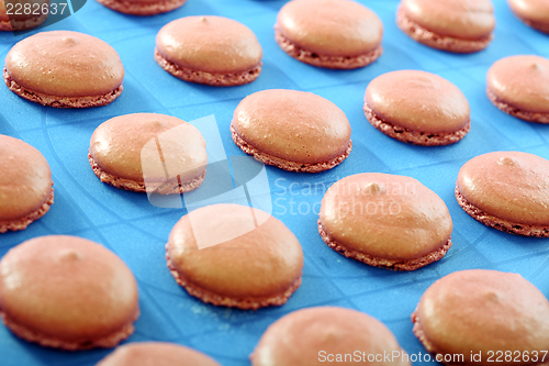 Image of Macaroons on a baking sheet.