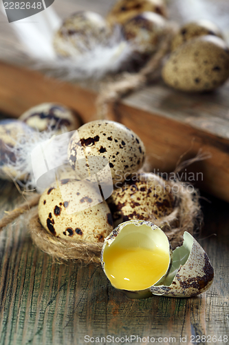 Image of Broken quail egg.