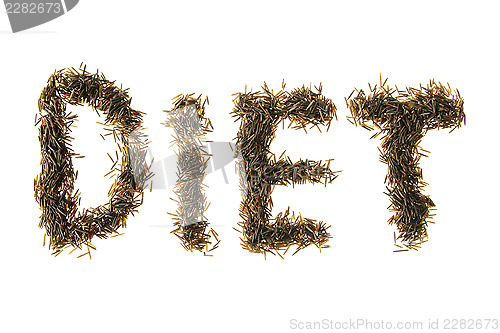 Image of Wild Rice Spelling Diet