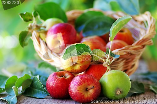 Image of 	Basket of apples on table