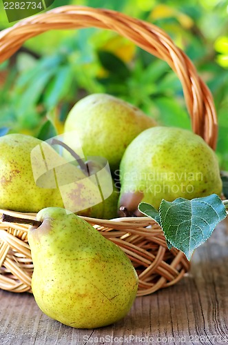 Image of Ripe pears on basket