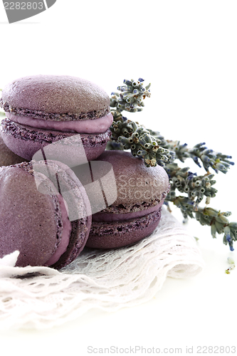 Image of Macaroons with lavender and cream with black currant. 