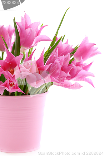 Image of Beautiful pink tulips in a bucket.