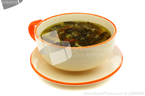Image of Cup of soup with fresh sorrel
