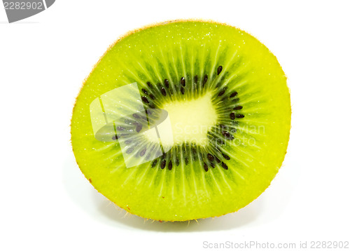 Image of Kiwi Fruit
