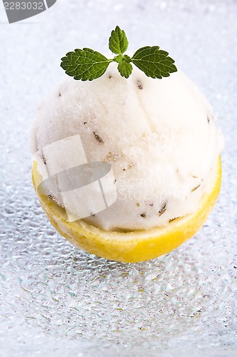 Image of lemon sorbet with lavender in cups of lemon