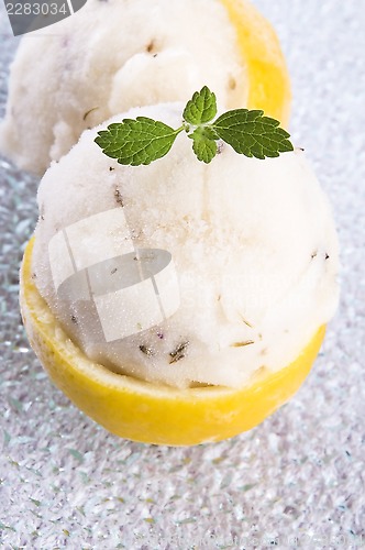 Image of lemon sorbet with lavender in cups of lemon