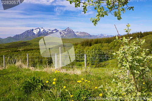 Image of Scandinavia in summer