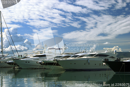 Image of Luxury yachts moored on pier