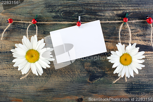Image of Daisies on fun clothespins and card.