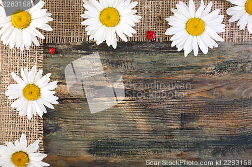 Image of Daisies on the tape of burlap.